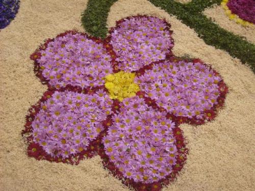 A flower made of flowers from the same alfombra as above.