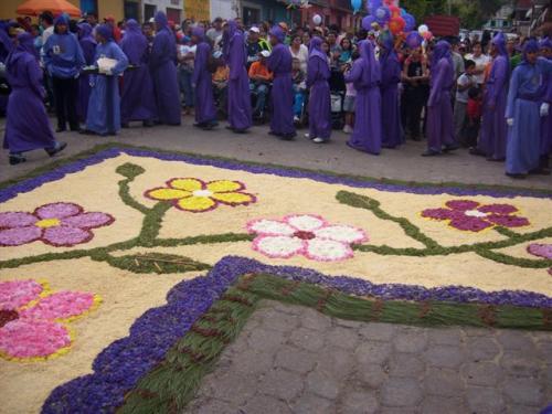 Beautiful alfombra of flowers made or flowers.