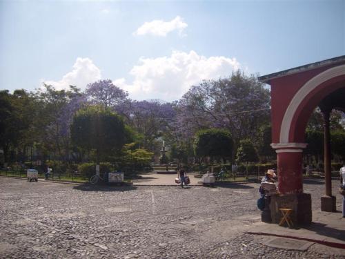 The Parque Central in the center of Antigua, Guatemala in full bloom.