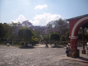 Parque Central in Antigua in full bloom.